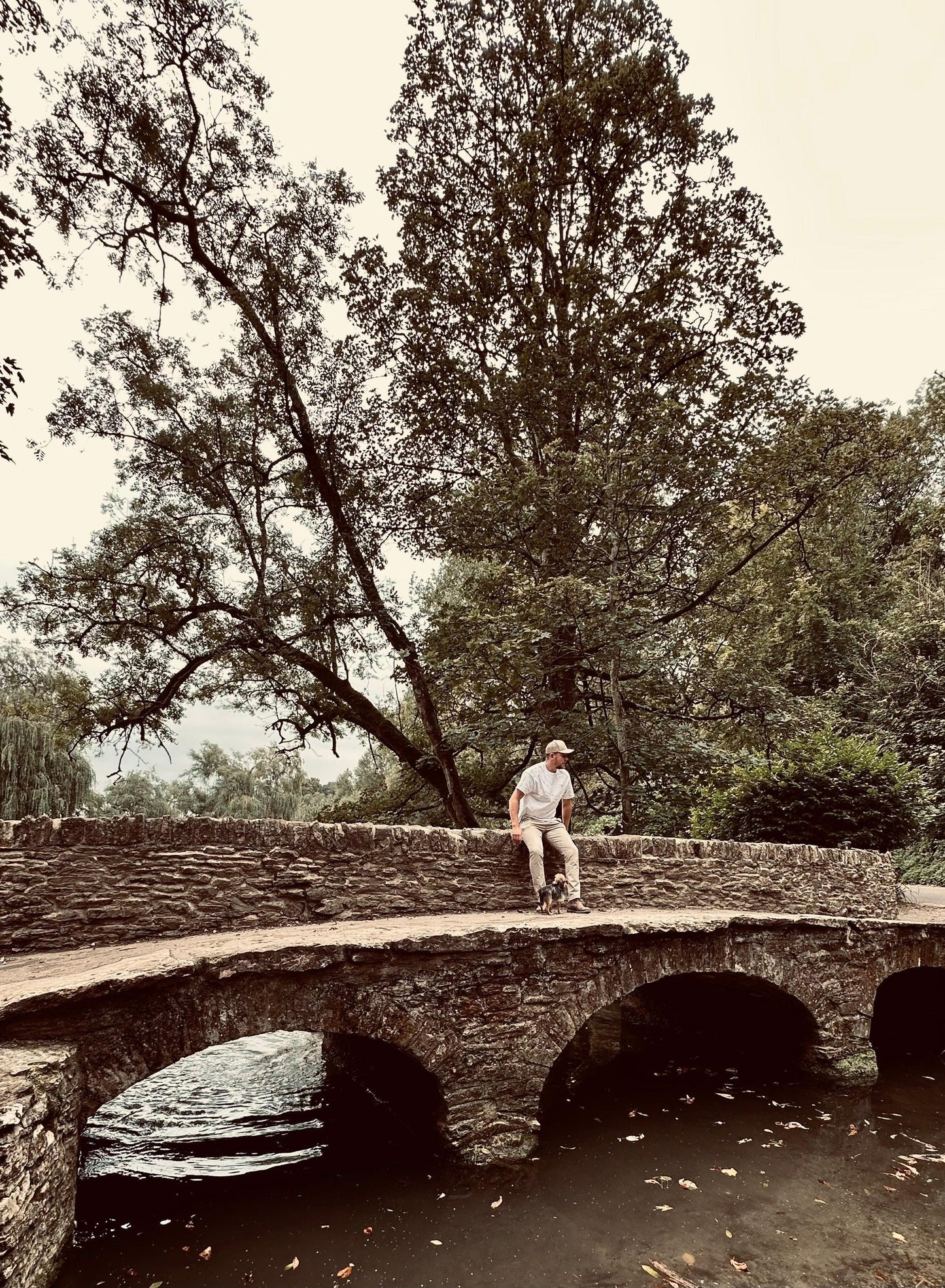 Longhorn Bull Skull Dust Trail Tee – White - WanderWest